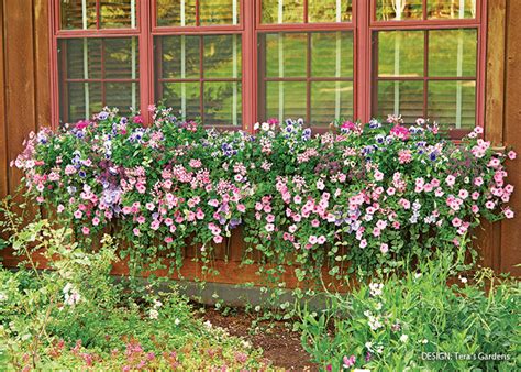 window hayrack planting ideas